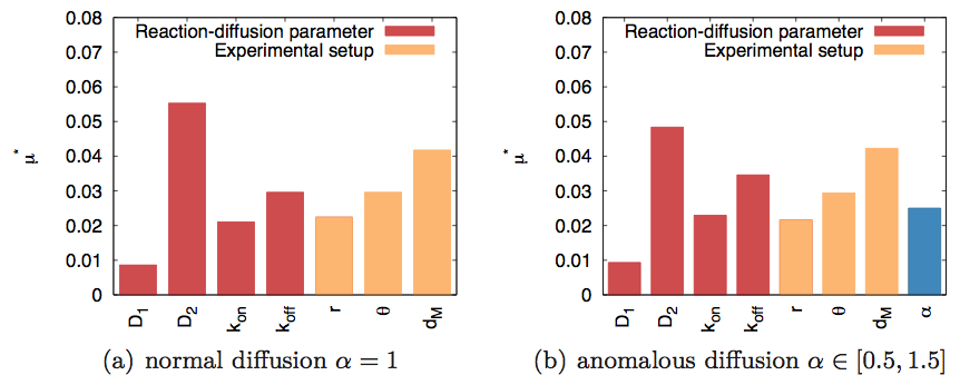 Sensitivity of parameters used in FRAP experiments